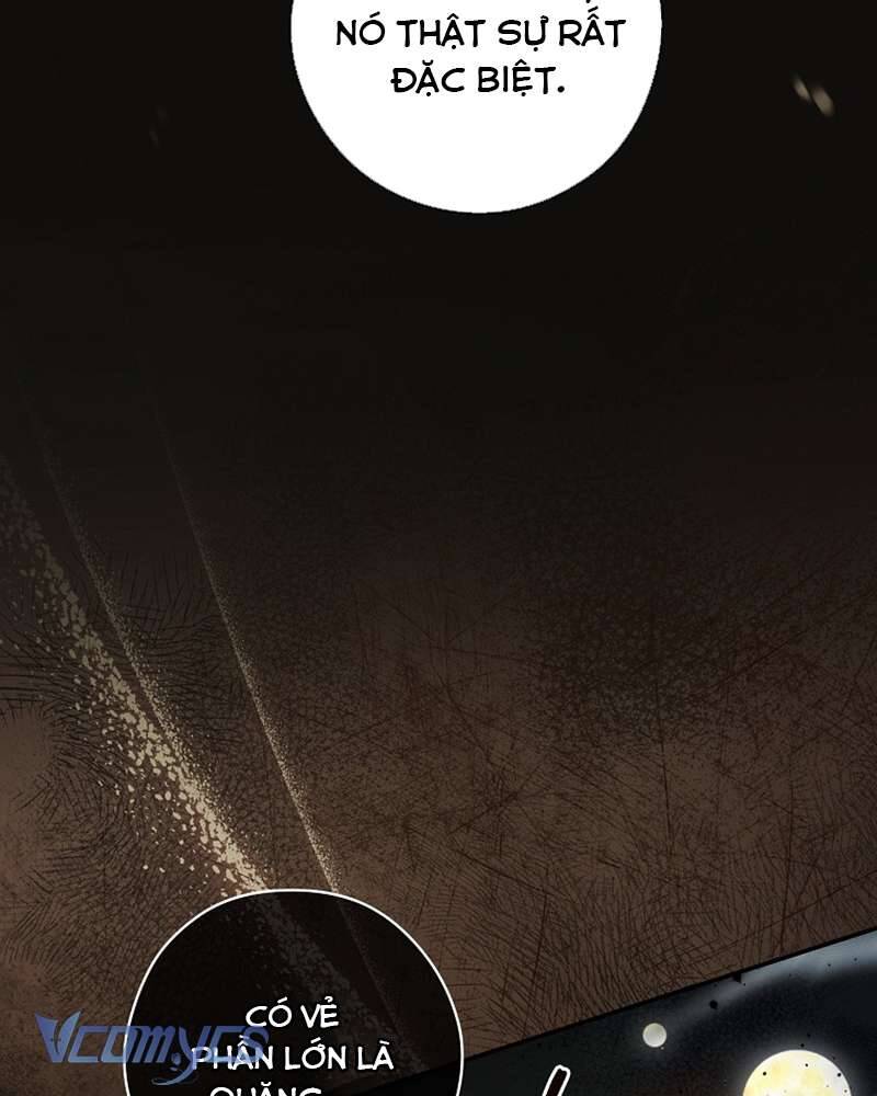 Nhật Ký Từ Chức Cấp S Của Thợ Săn Công Chức Chapter 29 - Trang 2
