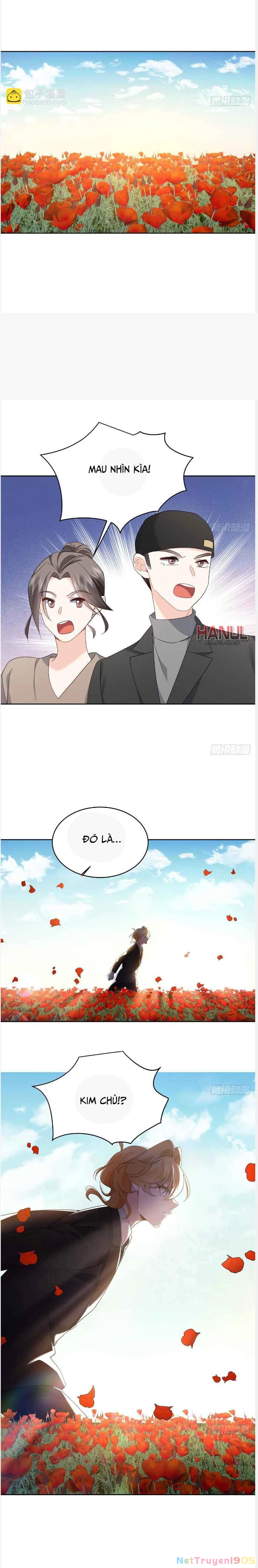 Hot Boy Quốc Dân Là Nữ Chapter 491 - Trang 2