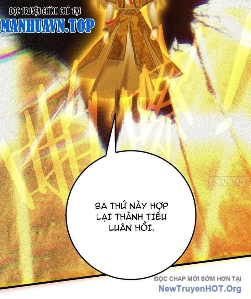 Đại Thừa Kỳ Mới Có Nghịch Tập Hệ Thống Chapter 70 - Trang 2