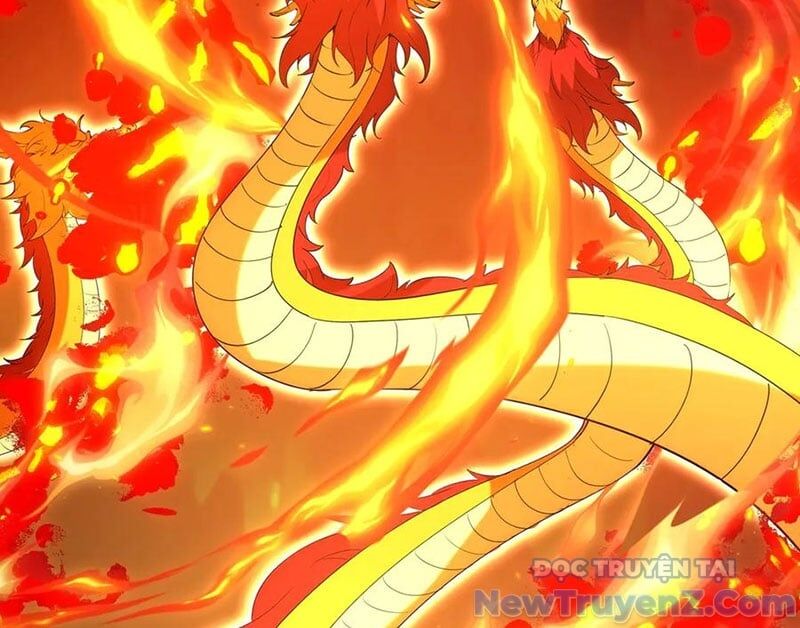 Đại Tần: Ta Con Trai Tần Thủy Hoàng Giết Địch Thăng Cấp Thành Thần Chapter 208 - Trang 2