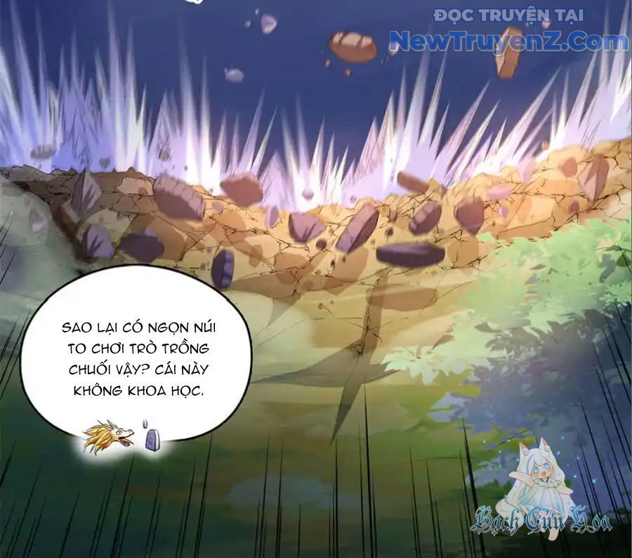 Đại Tần: Ta Con Trai Tần Thủy Hoàng Giết Địch Thăng Cấp Thành Thần Chapter 678 - Trang 2