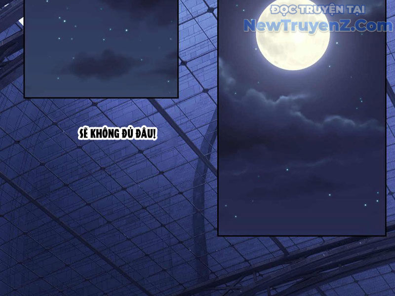 Truyền Kỳ Thái Lạc Chapter 196 - Trang 2