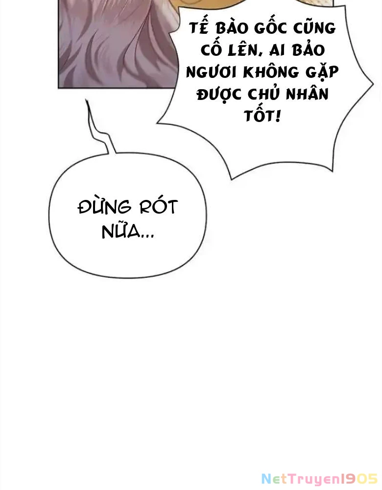 Một Cuộc Sống Phản Diện Kì Lạ Nhưng Hiệu Quả Chapter 26 - Trang 2