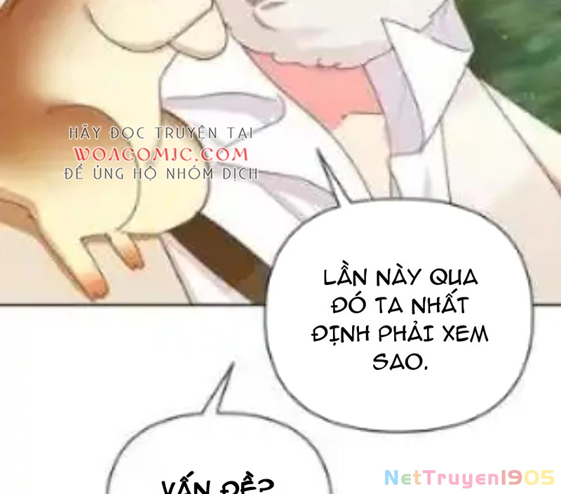 Một Cuộc Sống Phản Diện Kì Lạ Nhưng Hiệu Quả Chapter 32 - Trang 2