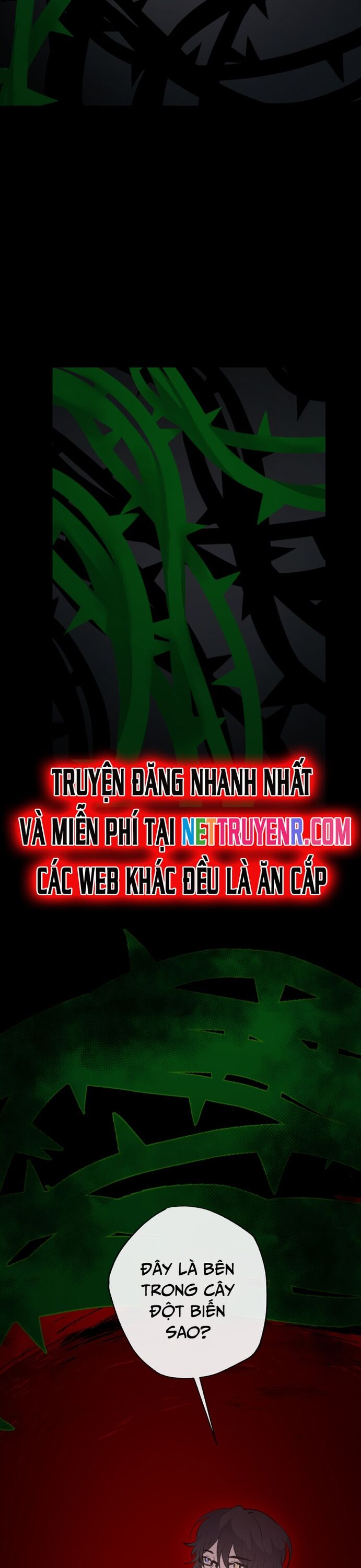 Trọng Sinh Mạc Thế Chapter 148 - Trang 2