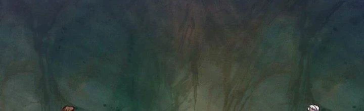 Lê Minh Chi Kiếm Chapter 94 - Trang 2