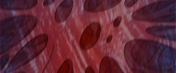 Lê Minh Chi Kiếm Chapter 94 - Trang 2