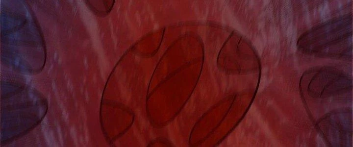 Lê Minh Chi Kiếm Chapter 94 - Trang 2