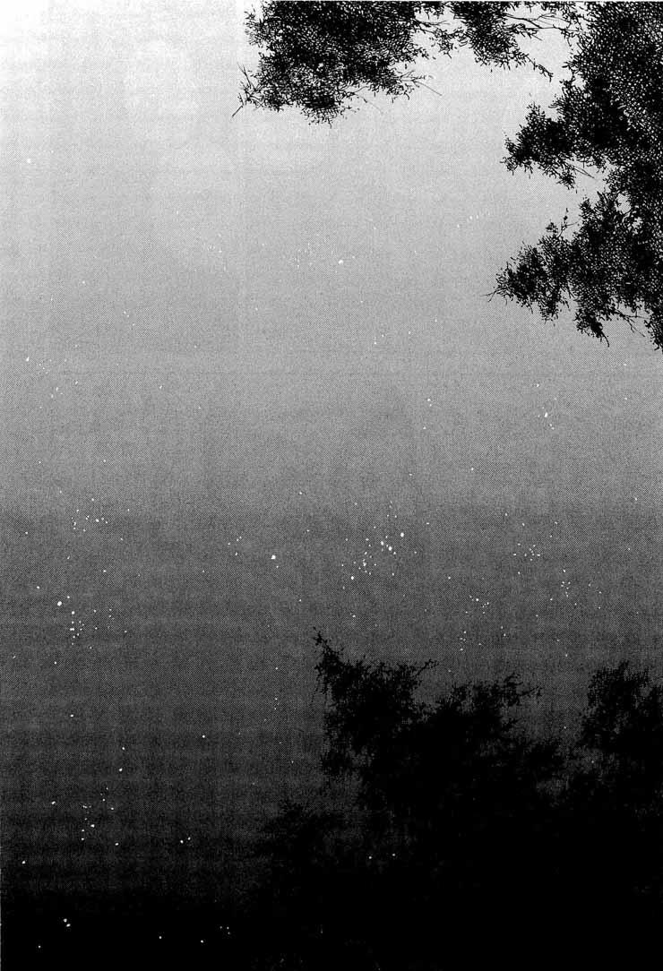 Lãng Khách Chapter 294 - Trang 2