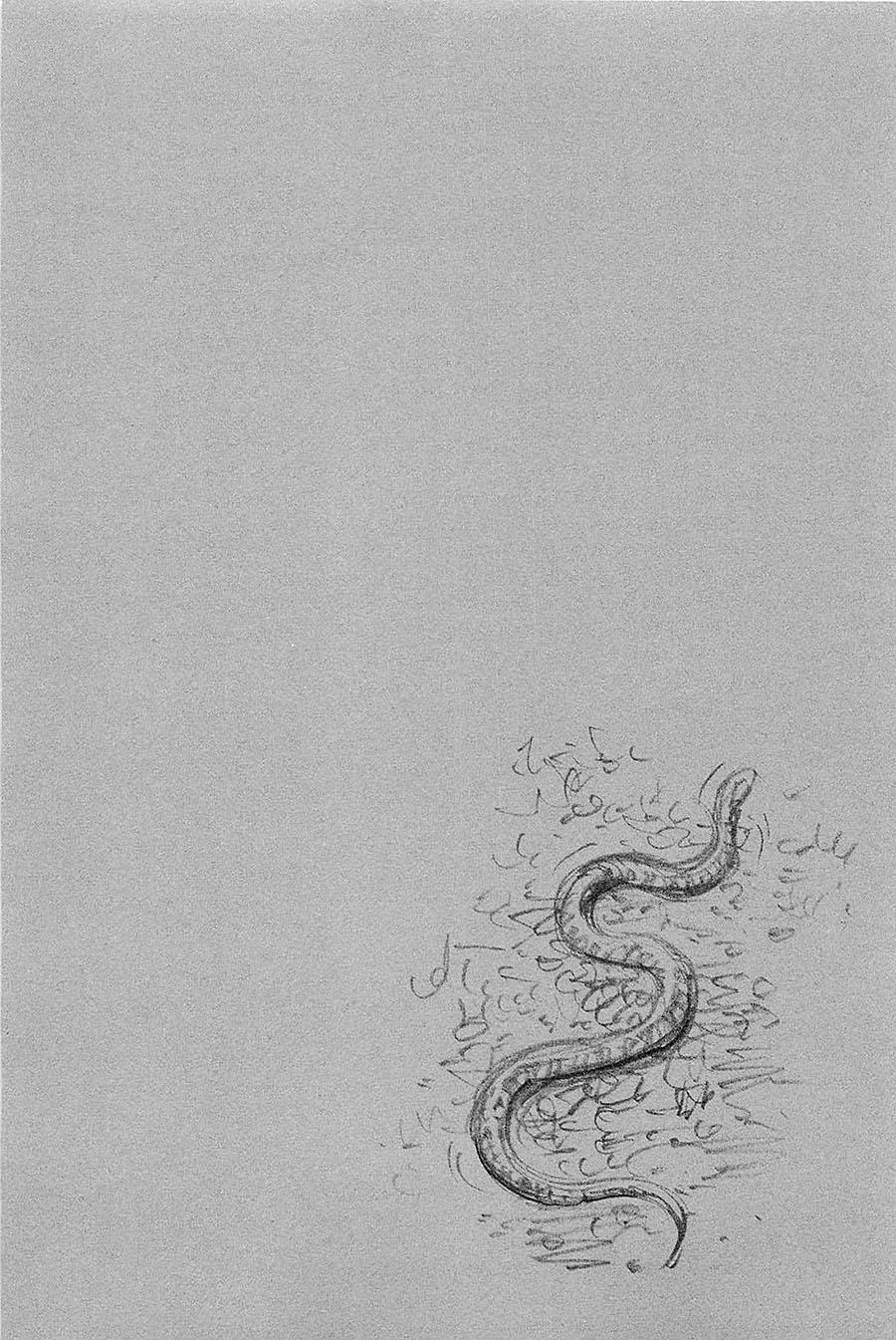 Lãng Khách Chapter 319 - Trang 2