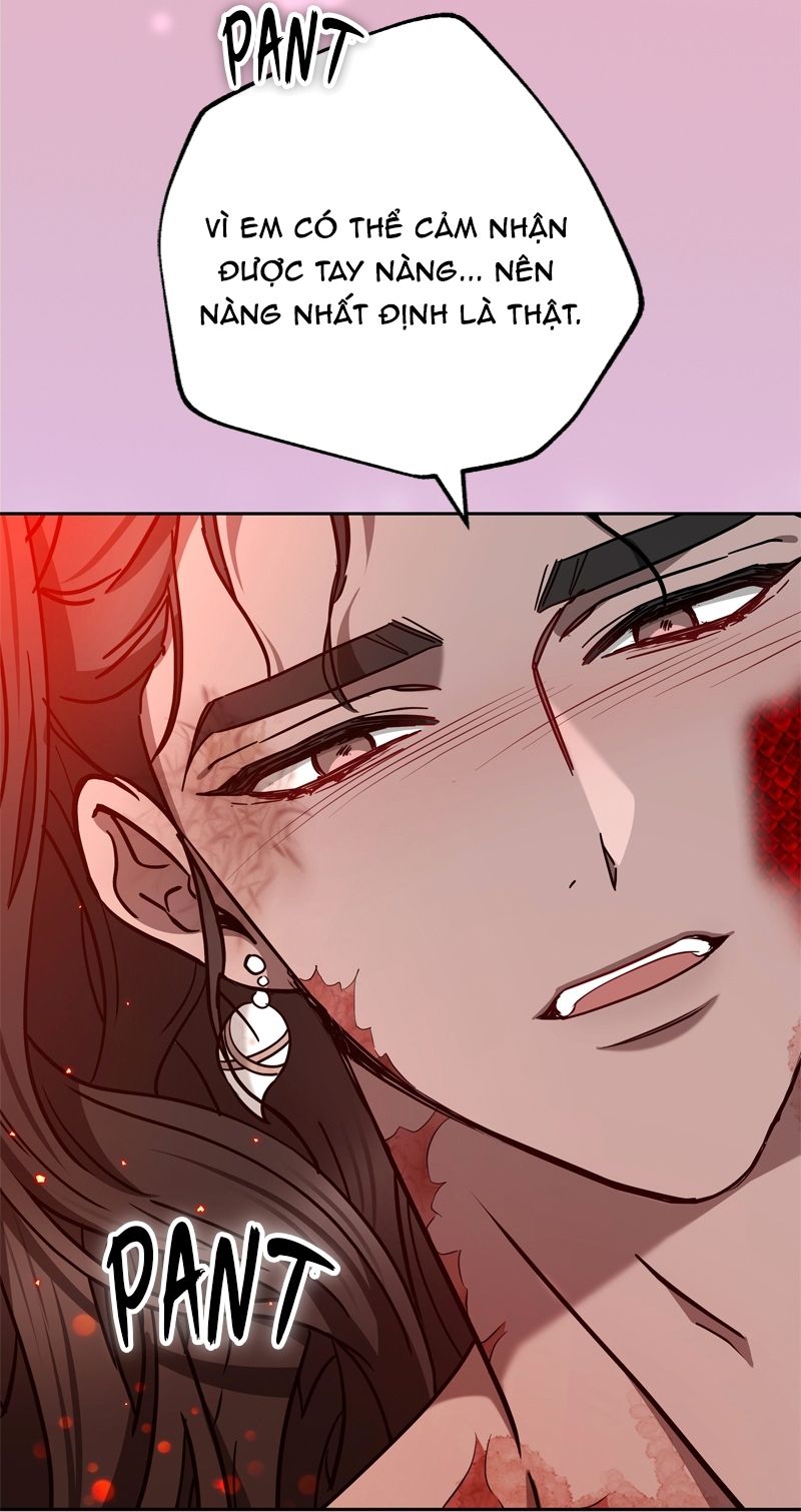 Cướp Dâu Chapter 81 - Trang 2