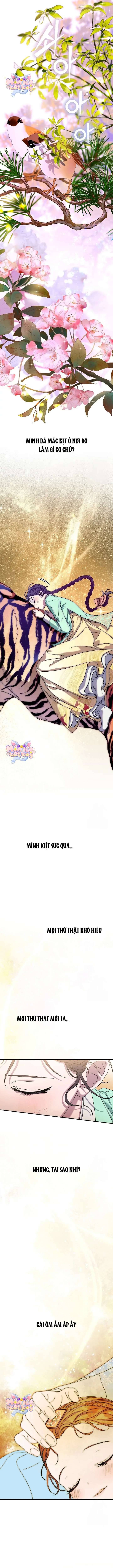 Ta Chỉ Muốn Ăn Em Chapter 6 - Trang 2