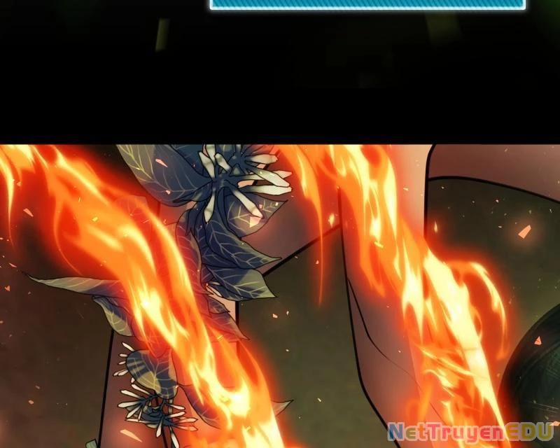 Thiên Tài Stream Game Bị Ám Ảnh Chapter 38 - Trang 2