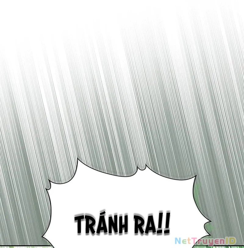 Chiến Lược Sinh Tồn Sau Cải Cách Chapter 5 - Trang 2