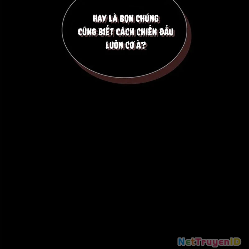 Chiến Lược Sinh Tồn Sau Cải Cách Chapter 9 - Trang 2
