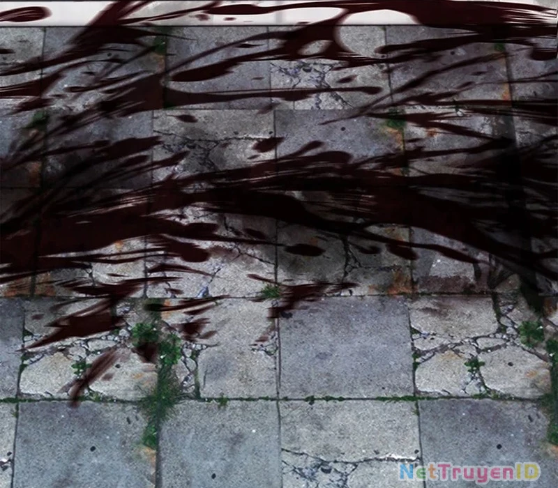 Chiến Lược Sinh Tồn Sau Cải Cách Chapter 14 - Trang 2