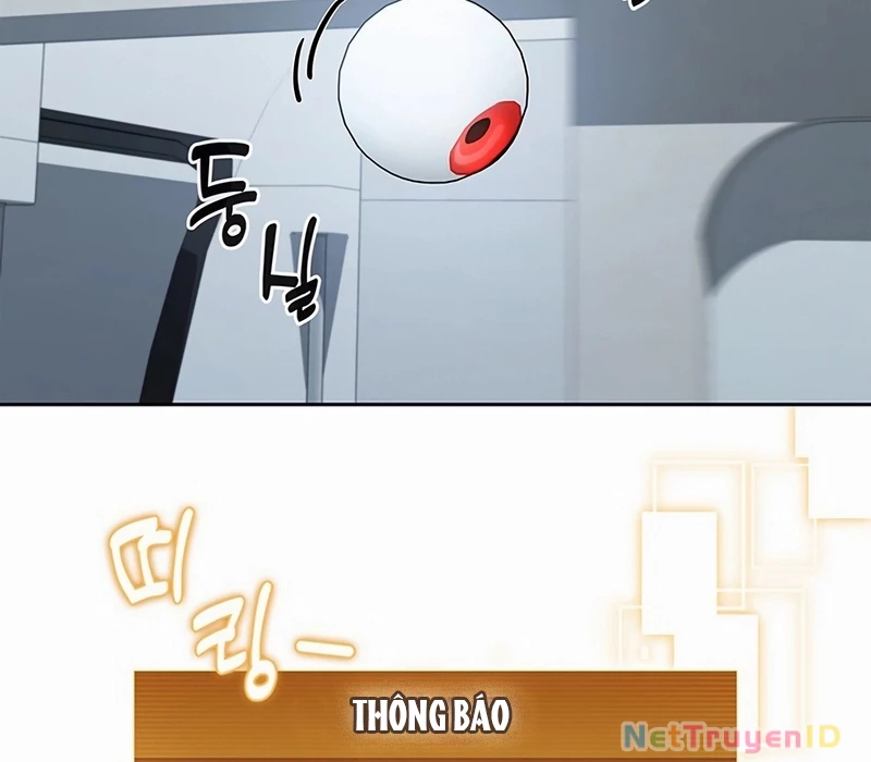 Chiến Lược Sinh Tồn Sau Cải Cách Chapter 23 - Trang 2