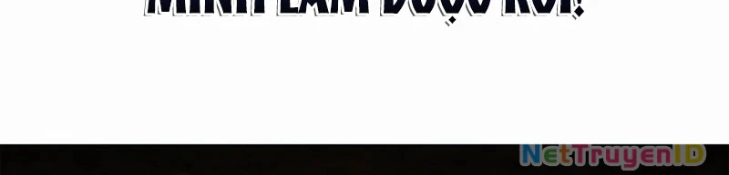 Chiến Lược Sinh Tồn Sau Cải Cách Chapter 27 - Trang 2