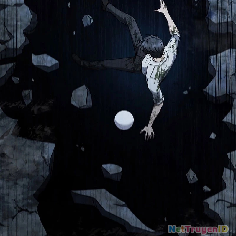 Chiến Lược Sinh Tồn Sau Cải Cách Chapter 29 - Trang 2