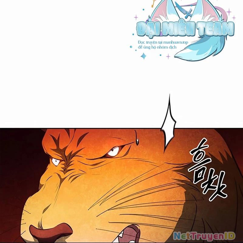 Chiến Lược Sinh Tồn Sau Cải Cách Chapter 31 - Trang 2