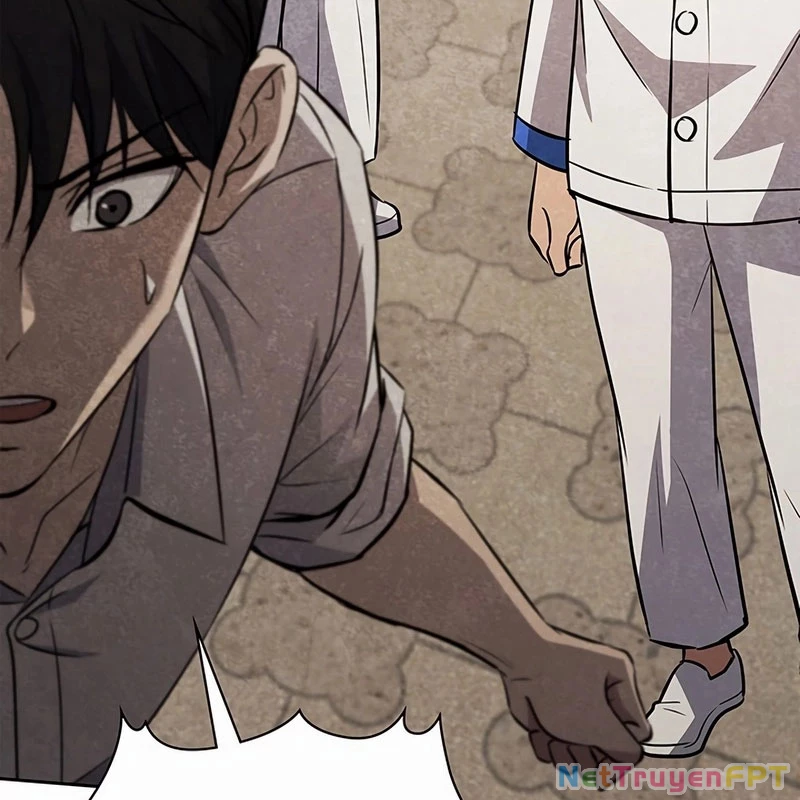 Chiến Lược Sinh Tồn Sau Cải Cách Chapter 37 - Trang 2