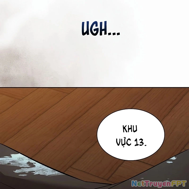Chiến Lược Sinh Tồn Sau Cải Cách Chapter 37 - Trang 2