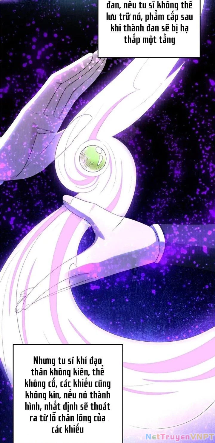 Đại Đạo Tranh Phong Chapter 87 - Trang 2