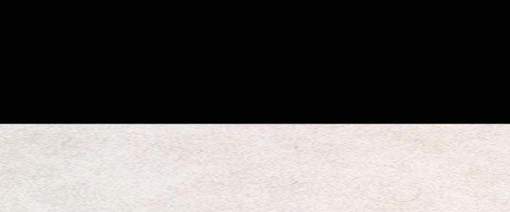 Trường Sinh Đạo Chapter 65 - Trang 2