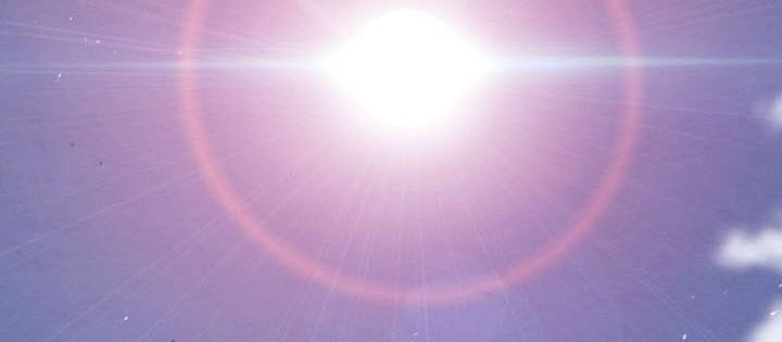 Tiểu Đệ Tử Của Võ Lâm Minh Chủ Chapter 56 - Trang 2