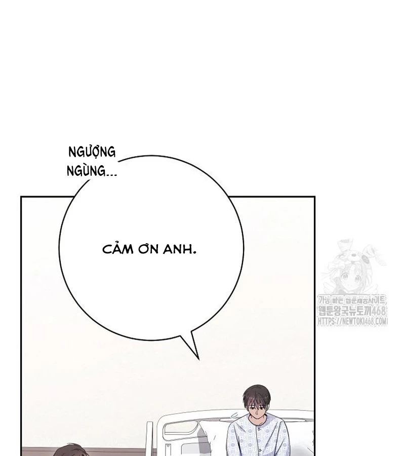 Diễn Viên Thiên Tài Mang Lại Bất Hạnh Chapter 40 - Trang 2