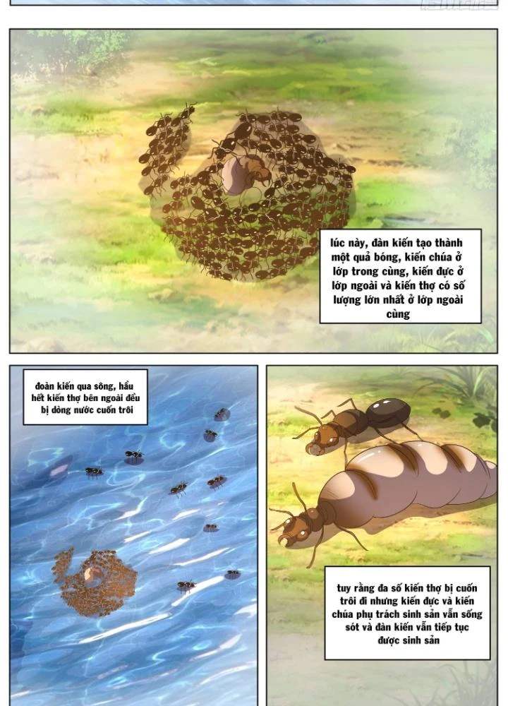Tương Vong Sư Chapter 65 - Trang 2