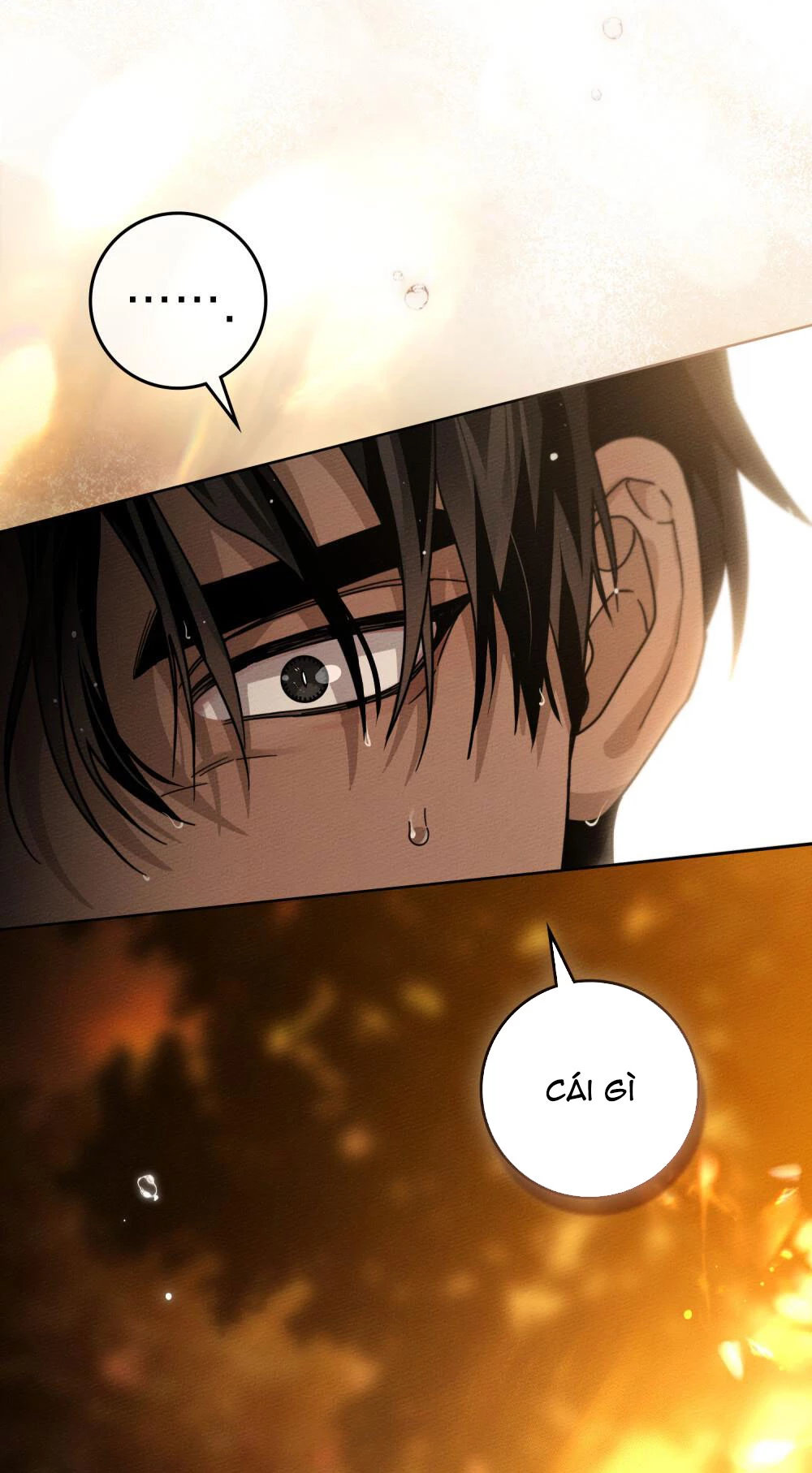 Dưới Bóng Cây Sồi Chapter 125.2 - Trang 2