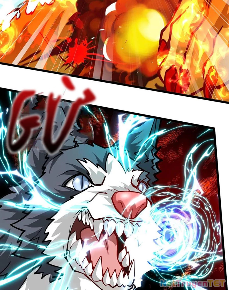 Slime Ta Treo Cự Long Lên Đánh Là Hợp Lý Nhỉ? Chapter 259 - Trang 2