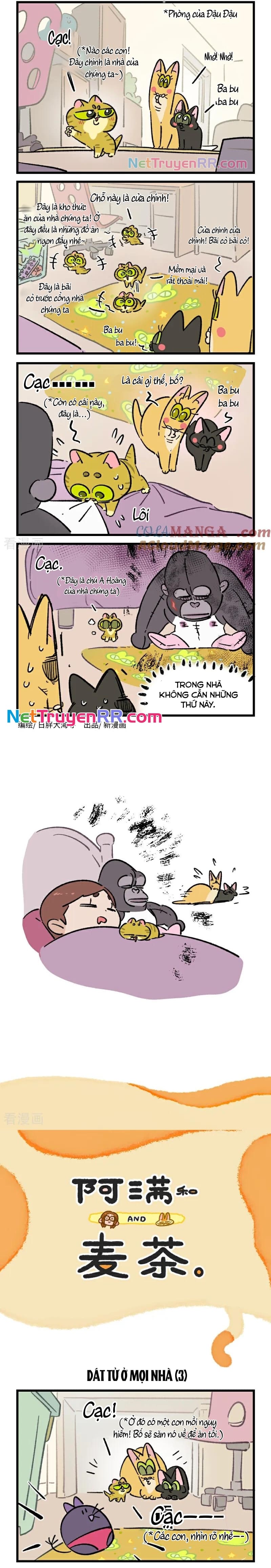 A Mãn Và Mạch Trà Chapter 230 - Trang 2