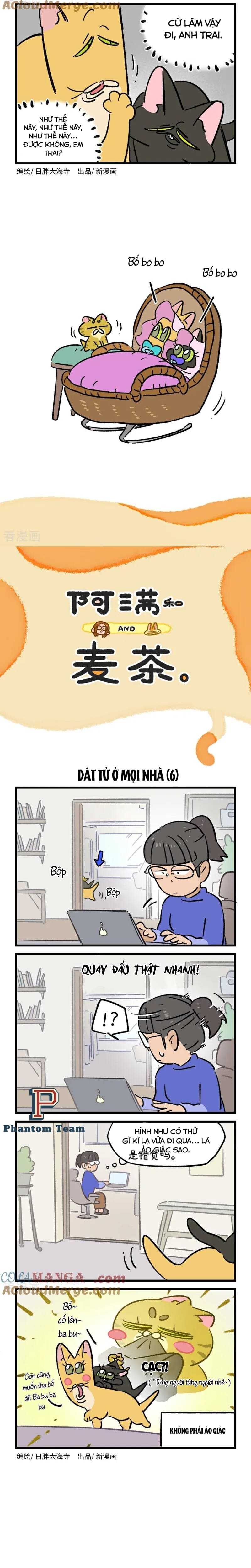 A Mãn Và Mạch Trà Chapter 230 - Trang 2