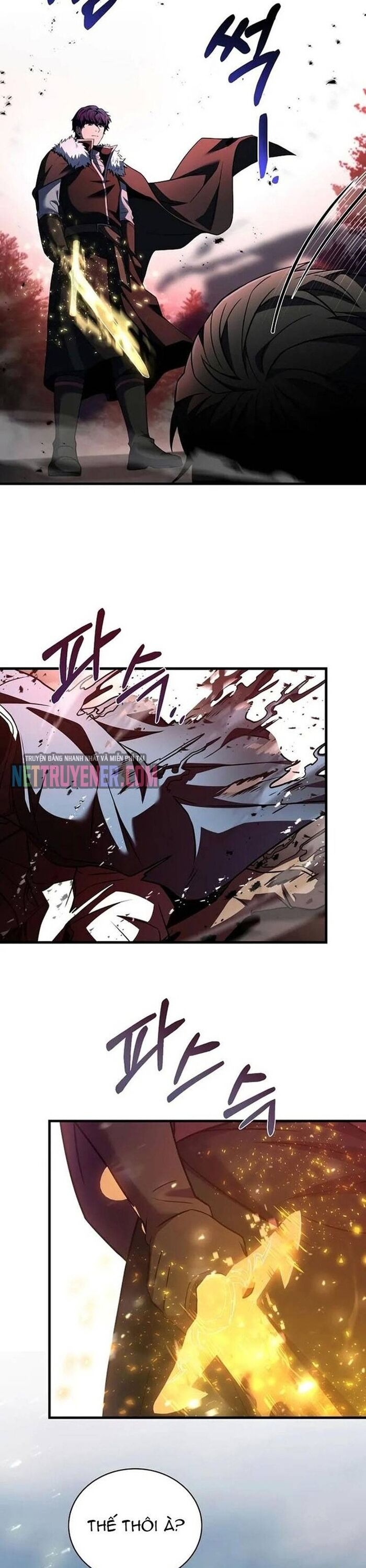 Sự Trở Lại Của Pháp Sư 8 Vòng Chapter 148 - Trang 2