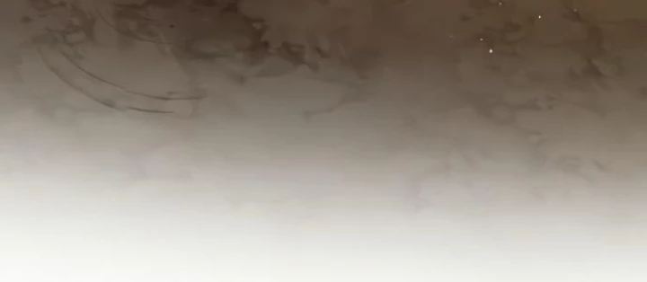 Is My Second Life A Healing Life? Chapter 62 - Trang 2