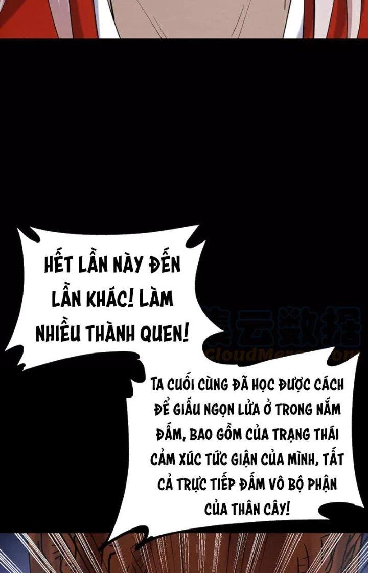 Ta Vô Địch Nhờ Siêu Béo Chapter 67 - Trang 2