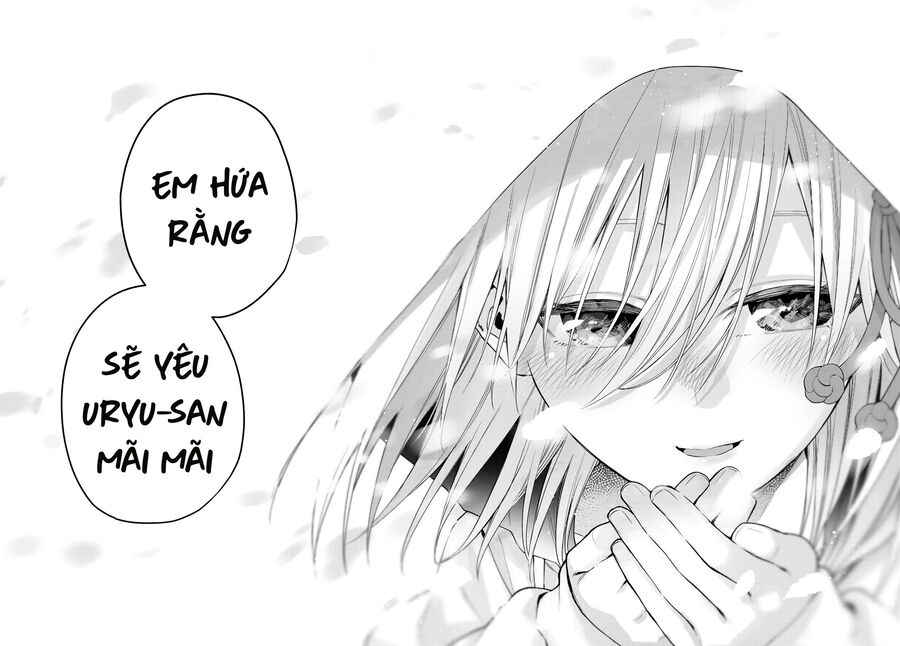 Kết Duyên Nhà Kamigami Chapter 146 - Trang 2