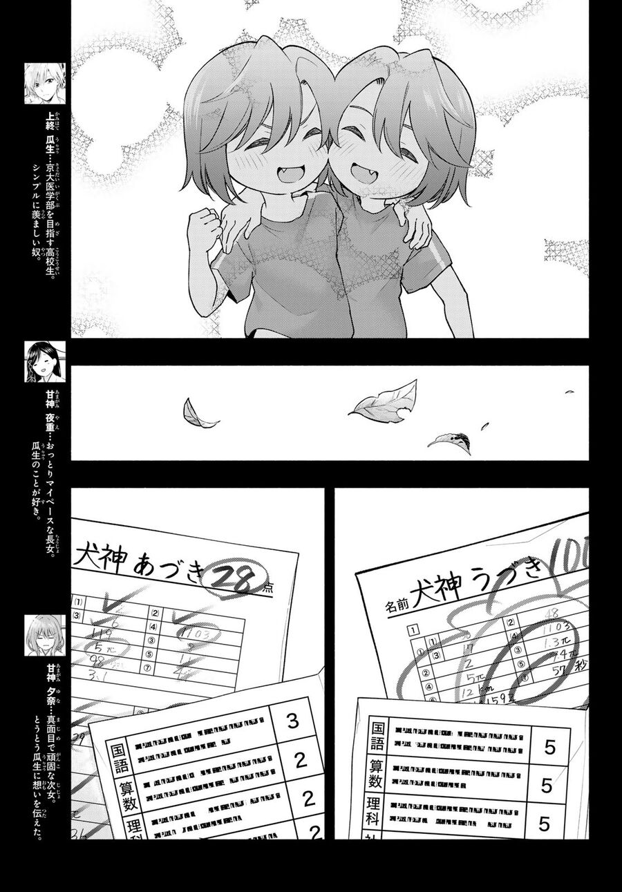 Kết Duyên Nhà Kamigami Chapter 175 - Trang 2