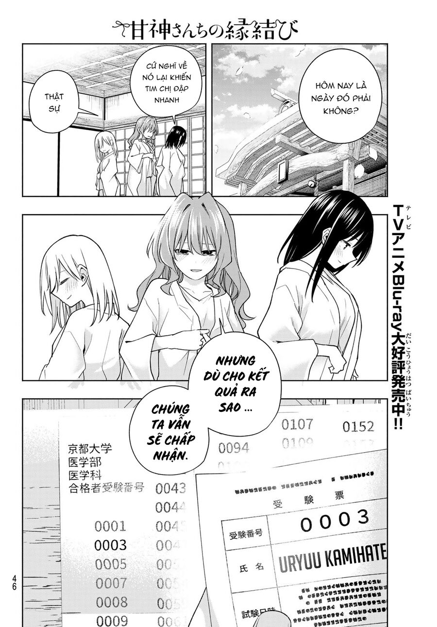 Kết Duyên Nhà Kamigami Chapter 176 - Trang 2