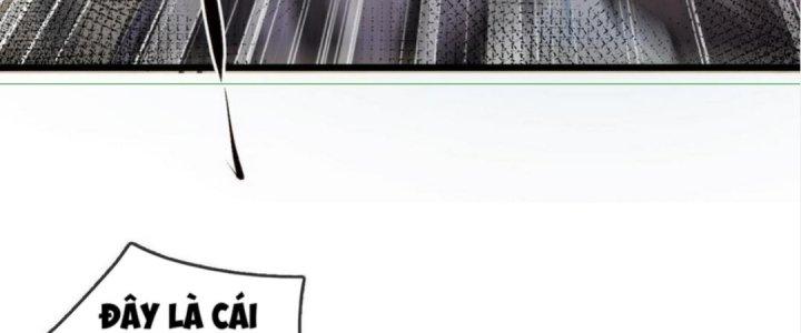 Nhà Sưu Tập Dị Thường Chapter 8 - Trang 2