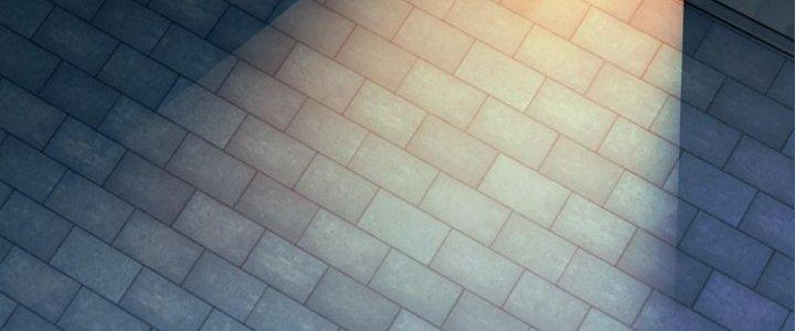 Nhà Sưu Tập Dị Thường Chapter 9 - Trang 2