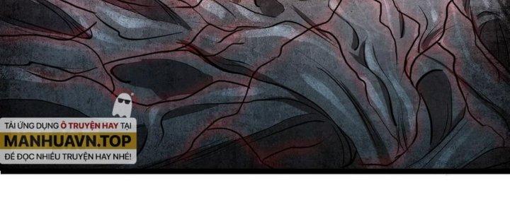 Nhà Sưu Tập Dị Thường Chapter 11 - Trang 2