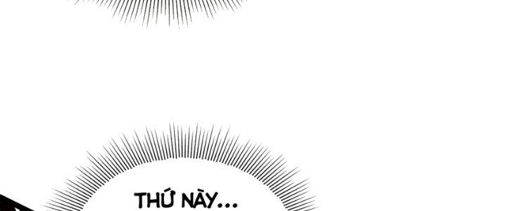 Nhà Sưu Tập Dị Thường Chapter 12 - Trang 2