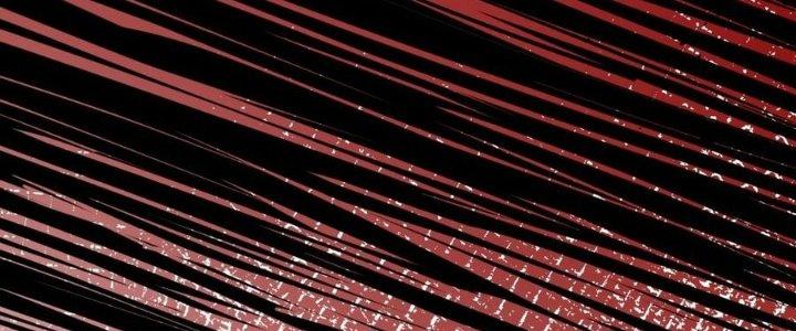 Nhà Sưu Tập Dị Thường Chapter 13 - Trang 2