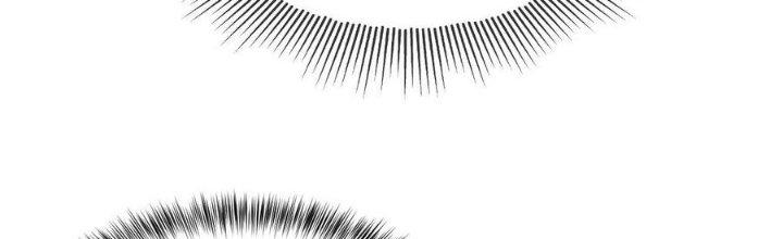 Nhà Sưu Tập Dị Thường Chapter 13 - Trang 2