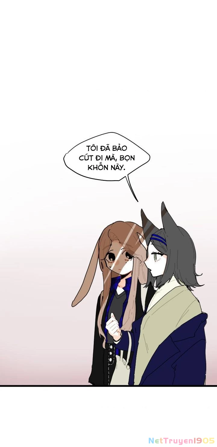 Gót Chân Dẫm Lên Cỏ Ba Lá Chapter 14 - Trang 2