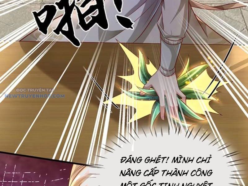 Khắc Đan Tu Tiên Chỉ Cẩu Trường Sinh Chapter 25 - Trang 2