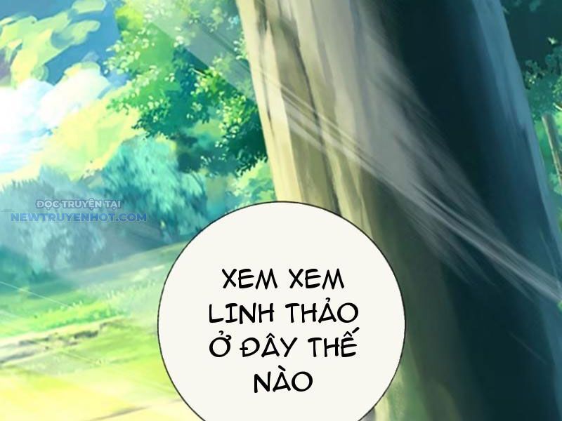 Khắc Đan Tu Tiên Chỉ Cẩu Trường Sinh Chapter 68 - Trang 2